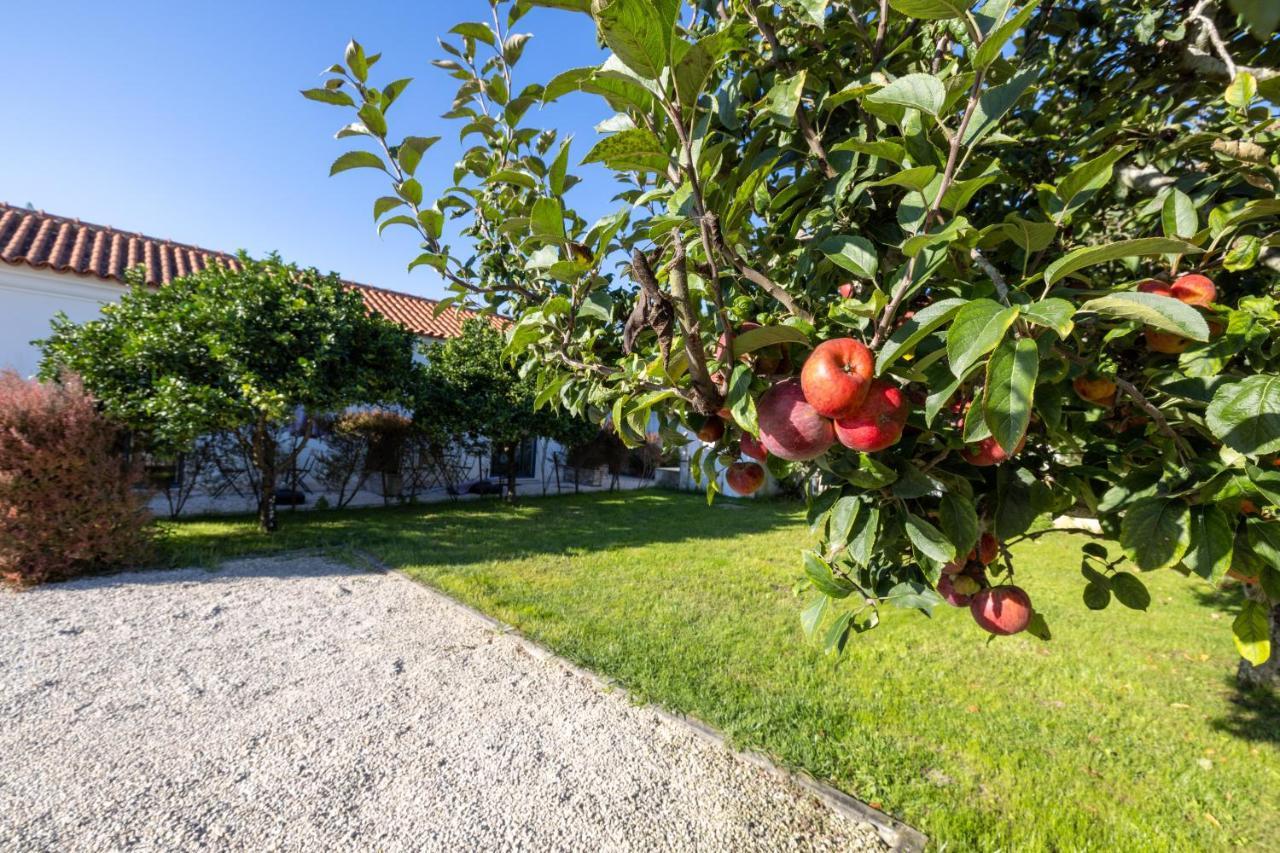 Casa Da Lagoa E Forja - Turismo Rural Mira  Bagian luar foto
